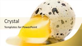  Presentation with broken egg - Theme enhanced with broken egg on white background background and a yellow colored foreground