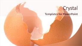  Presentation with eggshell - Slide deck with broken eggshell isolated on white background and a lemonade colored foreground