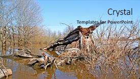  Presentation with oak - Presentation with dry forest - broken oak in water background and a light blue colored foreground