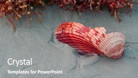  Presentation with weed - Audience pleasing PPT theme consisting of seattle waterfront skyline puget sound pacific northwest backdrop and a teal colored foreground