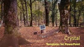  Presentation with trees - Theme enhanced with broken-tv-set-placed background and a  colored foreground