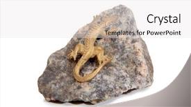  Presentation with granite - PPT theme enhanced with bronze lizard on a granite background and a white colored foreground