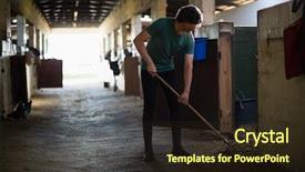  Presentation with islamic clean - PPT theme with broom to clean the stable background and a wine colored foreground