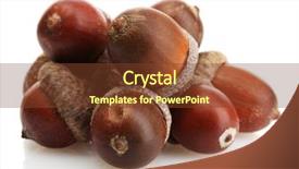  Presentation with brown - Presentation theme with brown acorns isolated on white background and a tawny brown colored foreground