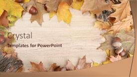  Presentation with autumn leaves - Audience pleasing theme consisting of brown-acorns-on-autumn-leaves backdrop and a lemonade colored foreground