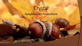  Presentation with autumn leaves - Beautiful slides featuring brown acorns on autumn leaves backdrop and a yellow colored foreground