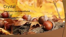  Presentation with autumn leaves - Theme with brown acorns on autumn leaves background and a yellow colored foreground