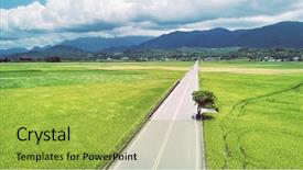  Presentation with brown rice - PPT theme featuring mr - aerial view of mr brown background and a yellow colored foreground
