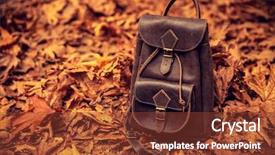  Presentation with old dry tree - Cool new PPT theme with brown backpack on the ground backdrop and a tawny brown colored foreground