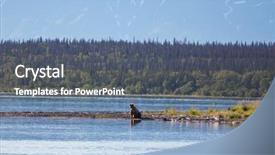  Presentation with brown bear - Audience pleasing presentation theme consisting of brown bear on alaska backdrop and a gray colored foreground