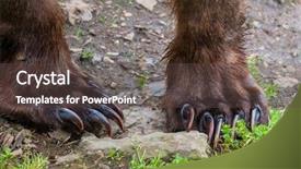  Presentation with brown bear - Beautiful presentation theme featuring brown bear on alaska backdrop and a tawny brown colored foreground