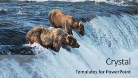  Presentation with brown bear - Amazing presentation design having brown bear on alaska backdrop and a light blue colored foreground