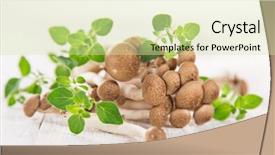  Presentation with mushroom - Theme featuring brown beech mushroom on white wooden background close-up background and a soft green colored foreground