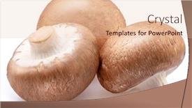  Presentation with brown - Theme with brown-cap-champignons-isolated background and a lemonade colored foreground