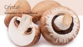  Presentation with champignon mushroom - Presentation theme having brown-cap-champignons-with-slice background and a coral colored foreground