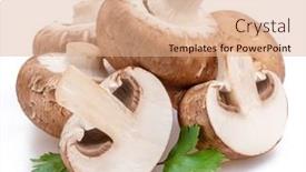  Presentation with champignon mushroom - PPT theme enhanced with brown-cap-champignons-with-slices background and a coral colored foreground
