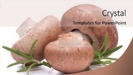  Presentation with champignon mushroom - Slide set featuring brown champignon mushroom and rosemary leaves isolated on white background cutout background and a lemonade colored foreground