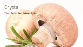  Presentation with champignon mushroom - Presentation with brown champignon mushroom and rosemary leaves isolated on white background cutout background and a lemonade colored foreground