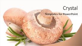  Presentation with champignon mushroom - Amazing slides having brown champignon mushroom and rosemary leaves isolated on white background cutout backdrop and a sky blue colored foreground