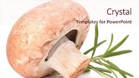  Presentation with champignon mushroom - Amazing presentation theme having brown champignon mushroom and rosemary leaves isolated on white background cutout backdrop and a lemonade colored foreground