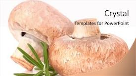  Presentation with champignon mushroom - Presentation theme with brown-champignon-mushroom-and-rosemary background and a sky blue colored foreground