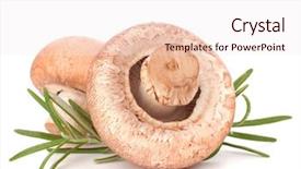 Presentation with champignon mushroom - Beautiful PPT layouts featuring brown champignon mushroom and rosemary leaves isolated on white background cutout backdrop and a sky blue colored foreground
