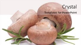  Presentation with champignon mushroom - Cool new presentation design with brown champignon mushroom and rosemary leaves isolated on white background cutout backdrop and a lemonade colored foreground