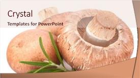  Presentation with champignon mushroom - Amazing theme having brown champignon mushroom and rosemary leaves isolated on white background cutout backdrop and a lemonade colored foreground