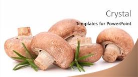  Presentation with champignon mushroom - Slide set featuring brown champignon mushroom and rosemary leaves isolated on white background cutout background and a white colored foreground