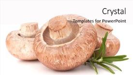  Presentation with champignon mushroom - Audience pleasing presentation design consisting of brown champignon mushroom and rosemary leaves isolated on white background cutout backdrop and a sky blue colored foreground