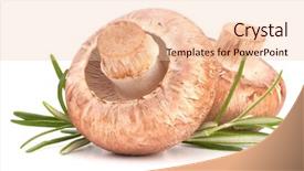  Presentation with champignon mushroom - Audience pleasing theme consisting of brown champignon mushroom and rosemary leaves isolated on white background cutout backdrop and a lemonade colored foreground