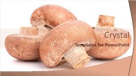  Presentation with champignon mushroom - Slides consisting of brown champignon mushroom group isolated on white background cutout background and a coral colored foreground