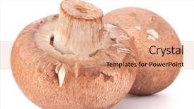  Presentation with champignon mushroom - Amazing presentation design having brown-champignon-mushroom-isolated backdrop and a coral colored foreground