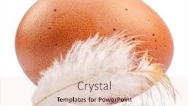  Presentation with chicken - Theme having brown-chicken-egg-and-chicken background and a lemonade colored foreground