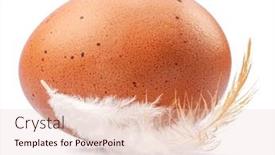  Presentation with chicken - Presentation featuring brown-chicken-egg-and-chicken background and a lemonade colored foreground