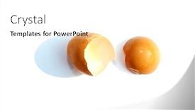 Presentation with chicken poultry farm white layer - Beautiful slide set featuring brown-chicken-egg-empty-cracked backdrop and a white colored foreground
