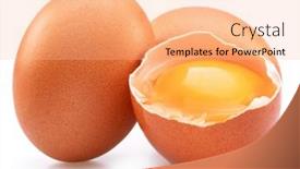  Presentation with egg - Slide deck with brown-chicken-eggs-and-egg background and a coral colored foreground