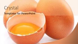  Presentation with egg - Presentation having brown-chicken-eggs-and-egg background and a coral colored foreground
