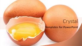  Presentation with chicken - Slide set having brown-chicken-eggs-and-egg background and a yellow colored foreground