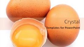  Presentation with chicken - PPT theme consisting of brown-chicken-eggs-and-egg background and a  colored foreground