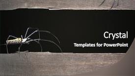  Presentation with whats next in red color on black board - Presentation enhanced with brown colors mock up templat background and a black colored foreground