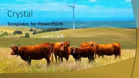  Presentation with wind energy - Amazing presentation theme having brown-cow-and-wind-mill backdrop and a cyan colored foreground