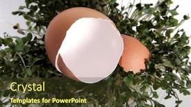  Presentation with cracked - Cool new PPT layouts with brown-cracked-egg-on-green backdrop and a tawny brown colored foreground