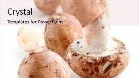  Presentation with mushrooms - Colorful slides enhanced with brown cremini or young portobello mushrooms isolated on white background backdrop and a lemonade colored foreground