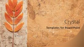  Presentation with abstract leaves - Slides featuring brown-designed-grunge-background background and a coral colored foreground