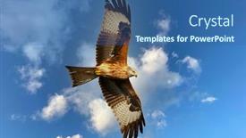  Presentation with eagle flying - Slide deck having brown-eagle-flying background and a ocean colored foreground