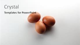  Presentation with egg - Slides enhanced with brown-egg-on-nuetral-white background and a white colored foreground