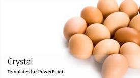  Presentation with dairy - Theme enhanced with brown eggs closeup on white background and a white colored foreground