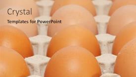  Presentation with box - Slide deck with brown-eggs-in-box background and a coral colored foreground