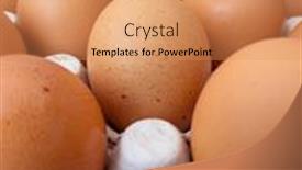  Presentation with box carton - Audience pleasing slide deck consisting of brown-eggs-in-cardboard-egg backdrop and a coral colored foreground